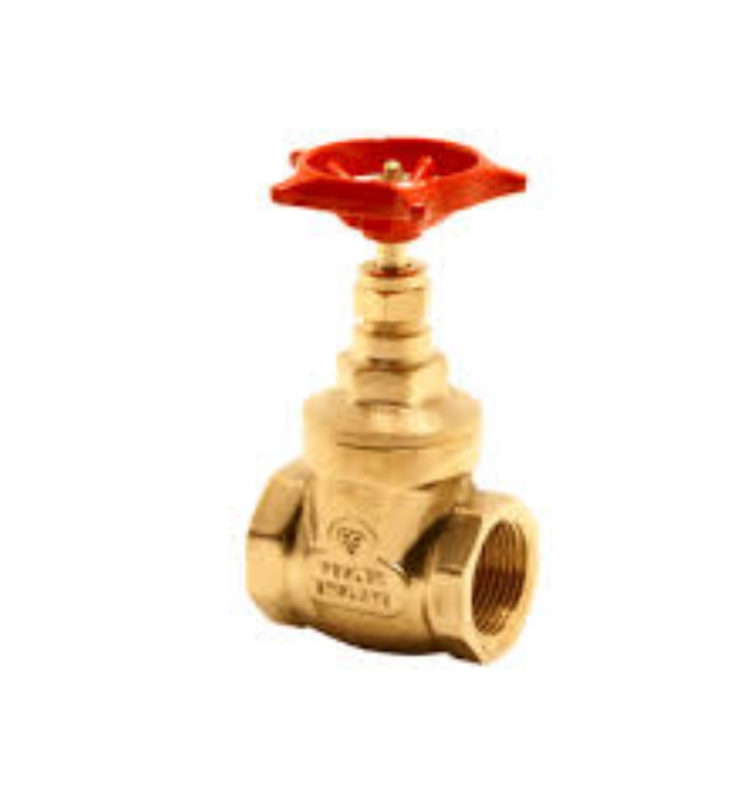 Pegler Gate Valve