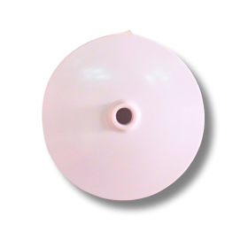 Carl & Gilbert Ceiling Rose (Only)