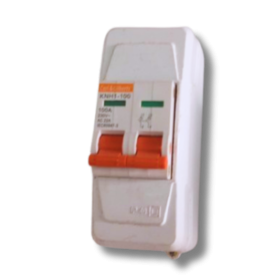 Carl & Gilbert Double Pole Switch – 63A / 100A