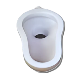 Ordinary Asian Toilet