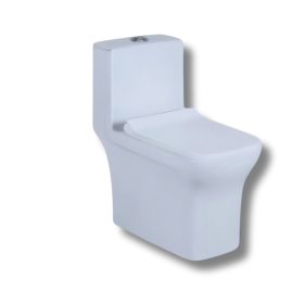 Space One Piece Toilet (5002)