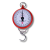 Hanson Round Scale – 100KGS
