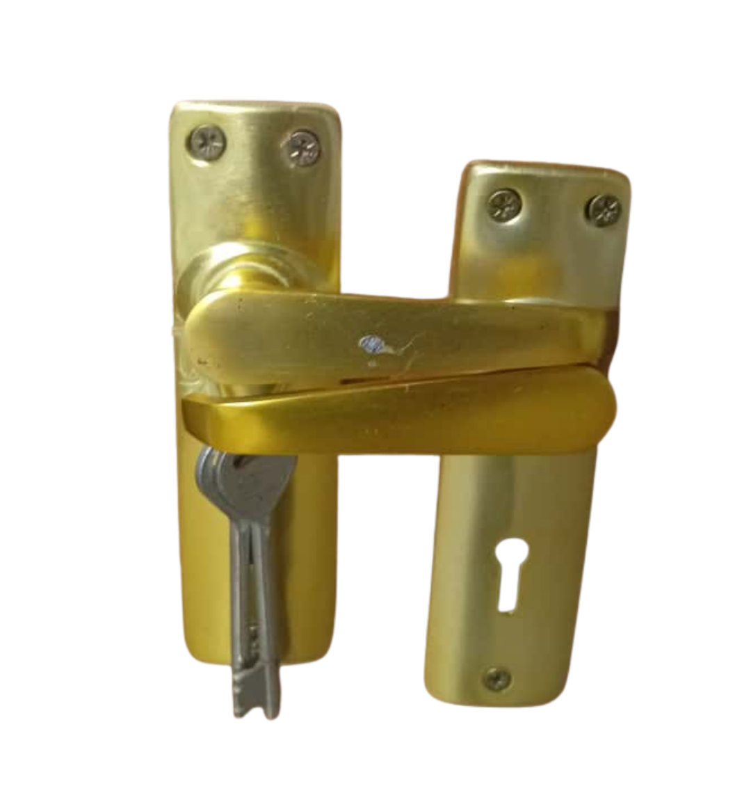 Natraj Mortice Lock – Brass